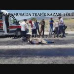 1-Still0715_00000-001