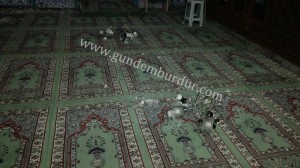 1-bur-ağlasun mamak köyü camiindeki zarar (4)