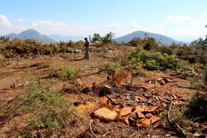 1-bur-bağsaray daki mermer ocağında inceleme (9)