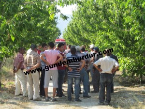 1-bur-havuza düşen adam öldü (2)