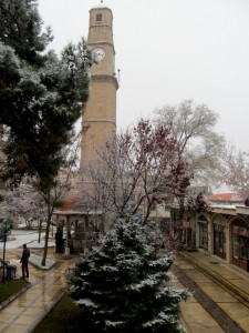 1-bur-mevsimin ilk karı (1)