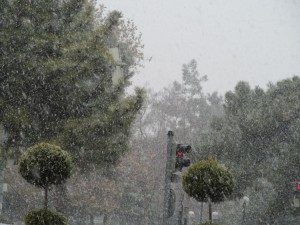 1-bur-mevsimin ilk karı (10)