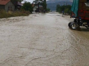 10557333_10204389463000796_7423783298427579339_n