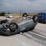 11714534_1032163996816647_830325144_n