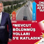 33 Bölünmüş Yollar