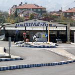 Hayvan Pazarı 1