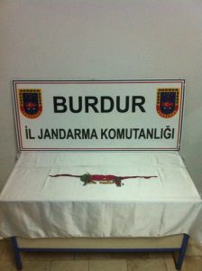 bur-2 mahmut dönemi