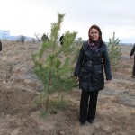 bur-9 bin kan bağışçısına 9 bin fidan (9)