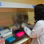 bur-Maküde yerli aşı üretimi (12)