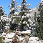 bur-burdur da kar (19)