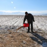 bur-doğa koruma kuşları besledi (9)