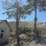 bur-niyazlarda tesbit (1)