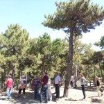 bur-niyazlarda tesbit (10)