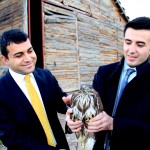 bur-tedavisi tamamlanan şahin doğaya bırakıldı (7)