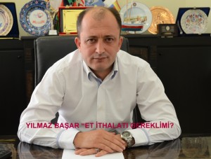 bur-yılmaz başar