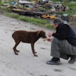 bur-öğrenciler çöplükteki köpekleri besledi (13)