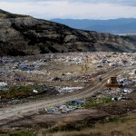 bur-öğrenciler çöplükteki köpekleri besledi (16)