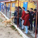 bur-öğrencilerden barınak ziyareti