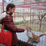 bur-öğrencilerden barınak ziyareti (3)