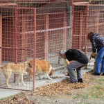 bur-öğrencilerden barınak ziyareti (4)