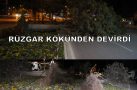 RÜZGAR AĞACI KÖKÜNDEN SÖKTÜ