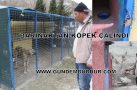 BARINAKTAN KÖPEK ÇALINDI