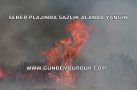 ŞEKER PLAJINDA SAZLIK YANGINI