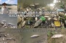 YAPRAKLI BARAJ GÖLÜ’NDE BALIK ÖLÜMLERİ