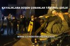KAYALIKLARDAN DÜŞEREK YARALANAN ÇOBANLAR TABURCU EDİLDİ
