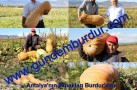 ANTALYA’ NIN KABAKLARI BURDUR’DAN