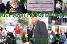 AK PARTİ FİDAN DAĞITTI