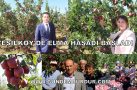 YEŞİLKÖY’DE ELMA HASADI BAŞLADI