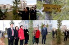 ADLİYE PERSONELİNİN DİKİLİ AĞACI VAR!