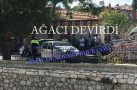AĞACI DEVİRDİ!!!