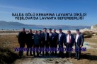 YEŞİLOVA’DA LAVANTA SEFERBERLİĞİ