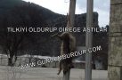 TİLKİ’Yİ ÖLDÜRÜP İPLE DİREĞE ASTILAR