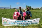 TRİNOVA BİTKİSİ SÜT ÜRETİMİNİ % 15 ARTIRACAK