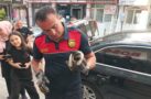 OTOMOBİLİN MOTOR KISMINA GİREN YAVRU KEDİ GÜÇLÜKLE ÇIKARILDI