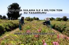 DAMLAMA SULAMA İLE 4 MİLYON TON SU TASARRUFU