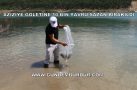 AZİZİYE GÖLETİNE 10 BİN YAVRU SAZAN BIRAKILDI