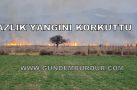 SAZLIK YANGINI KORKUTTU (VİDEO HABER)