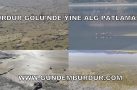 BURDUR GÖLÜ’NE ALG PATLAMASI OLAĞAN HALE Mİ GELDİ?