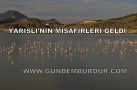 YARIŞLI’NIN MİSAFİRLERİ GELDİ
