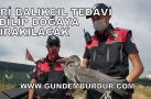 UÇAMAYAN GRİ BALIKÇIL TEDAVİ EDİLİP DOĞAYA BIRAKILACAK