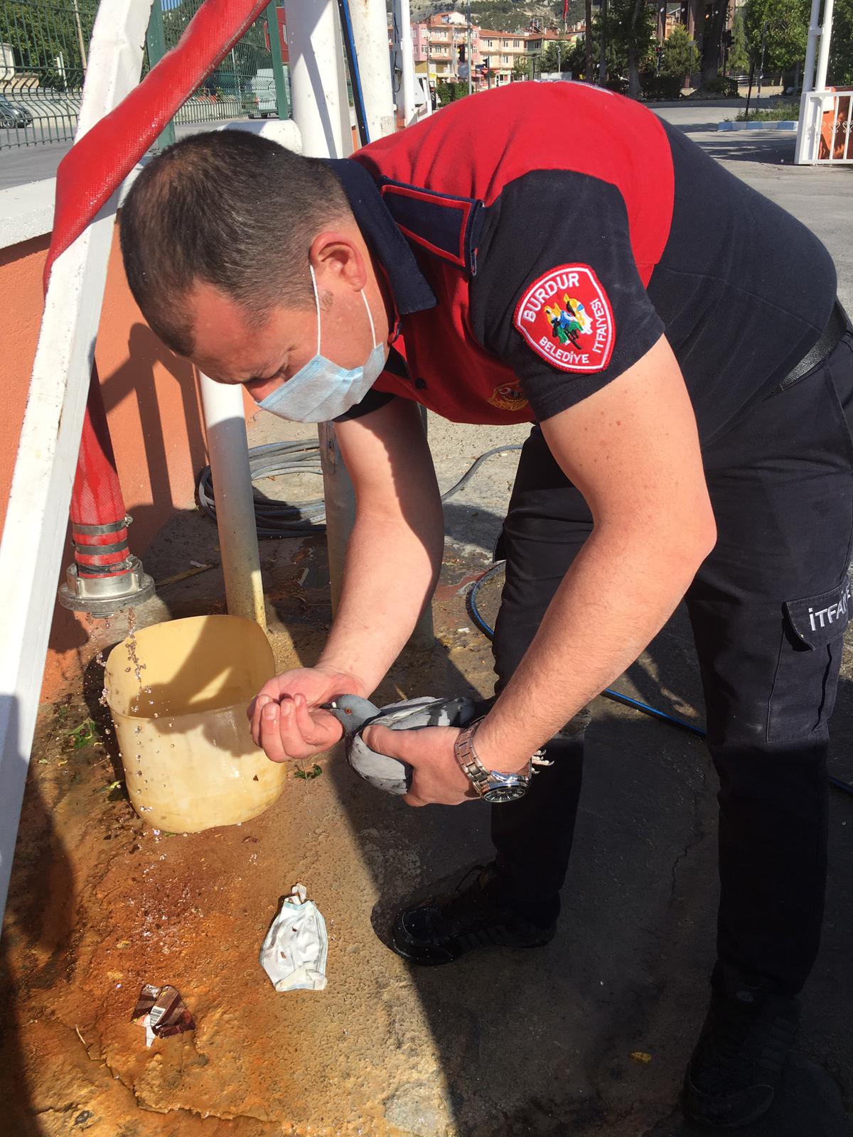 KURTARDIKLARI GÜVERCİNE ELLERİYLE SU İÇİRDİ