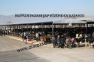 HAYVAN PAZARI ŞAP YÜZÜNDEN KAPANDI