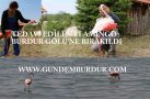 TEDAVİ EDİLEN FLAMİNGO BURDUR GÖLÜ’NE BIRAKILDI