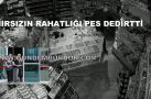HIRSIZIN RAHATLIĞI PES DEDİRTTİ